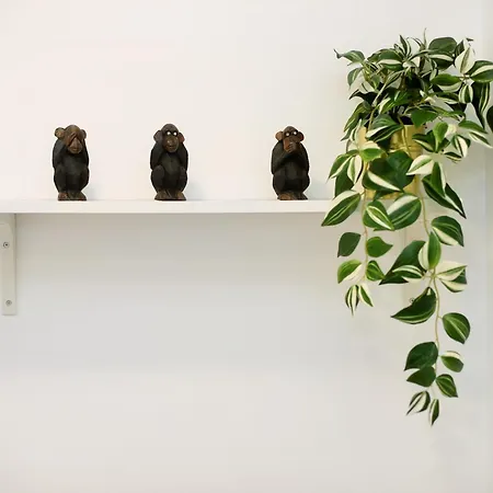 La Torre De 公寓 *